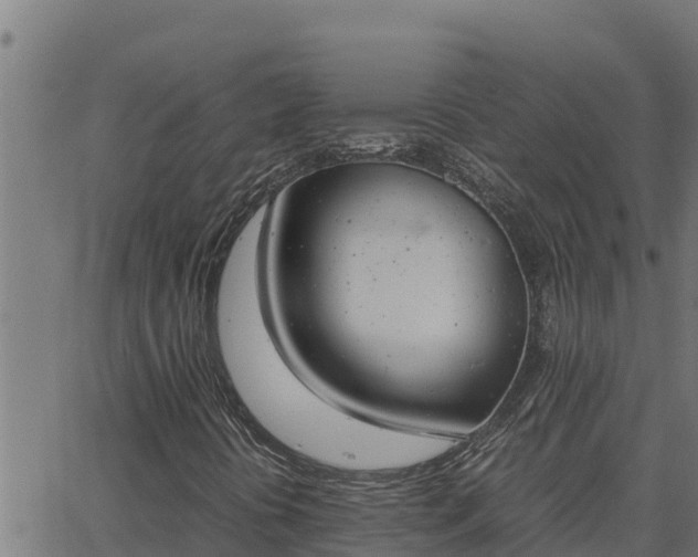 X0000062871394200601201742