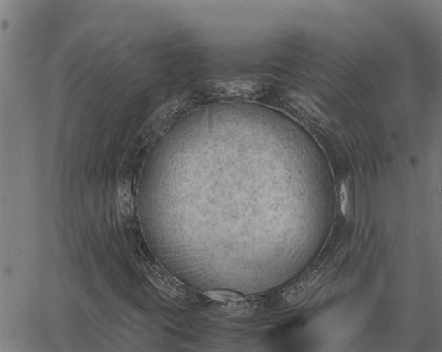 X0000062871395200601201742