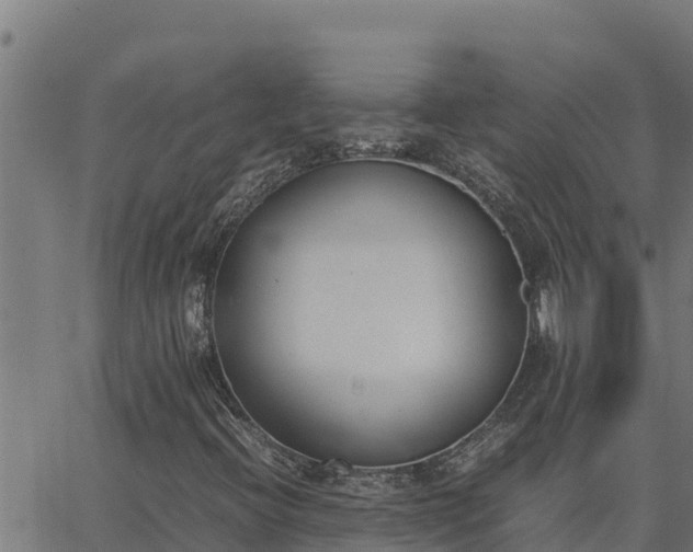 X0000062871396200601201742