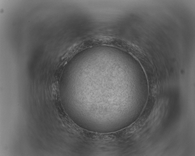 X0000062871397200601201742