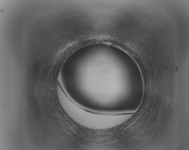 X0000062871398200601201742