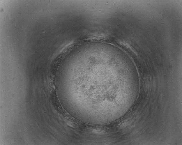 X0000062871399200601201742