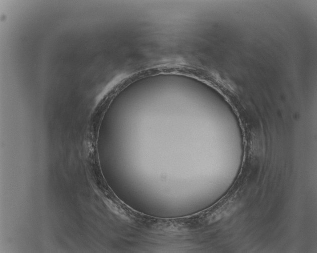 X0000062871400200601201742