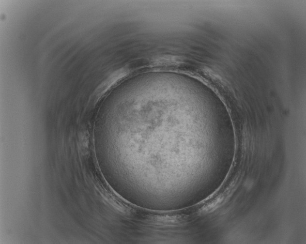 X0000062871401200601201742