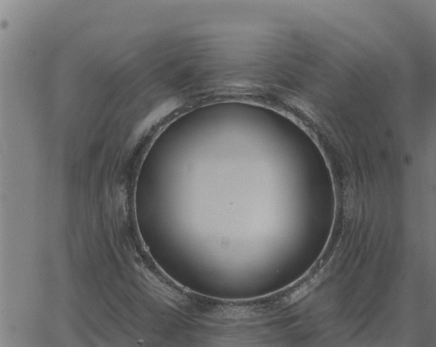 X0000062871402200601201742