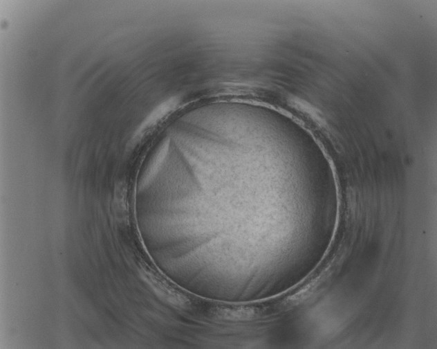 X0000062871403200601201742