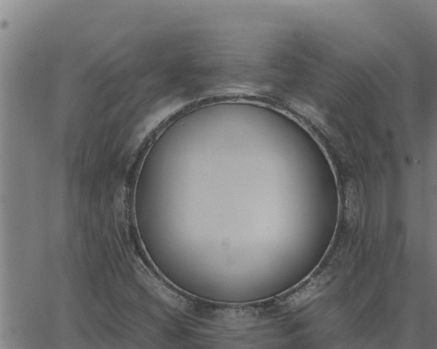 X0000062871404200601201742