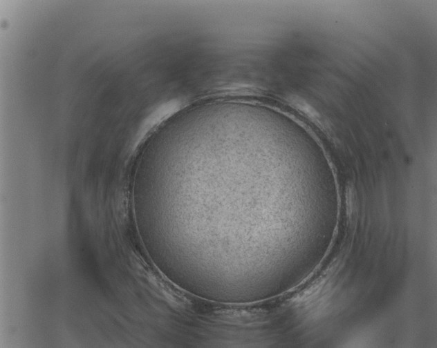 X0000062871405200601201742