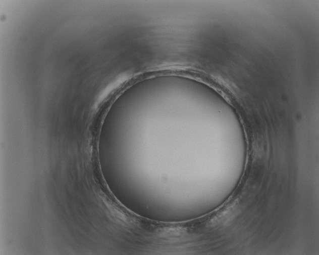 X0000062871406200601201742