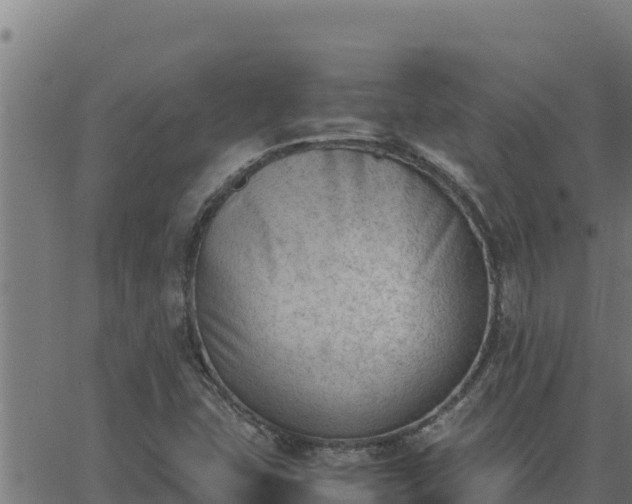 X0000062871407200601201742