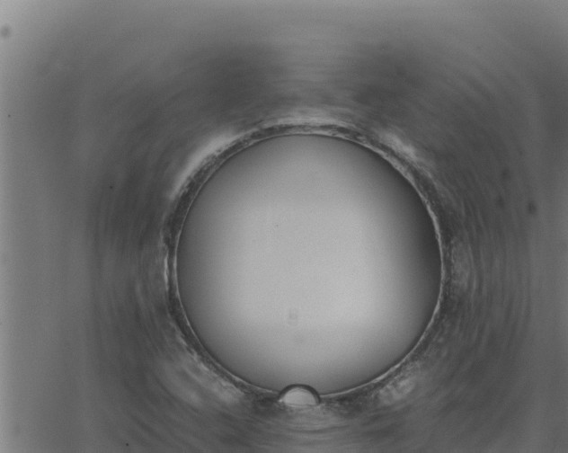 X0000062871408200601201742