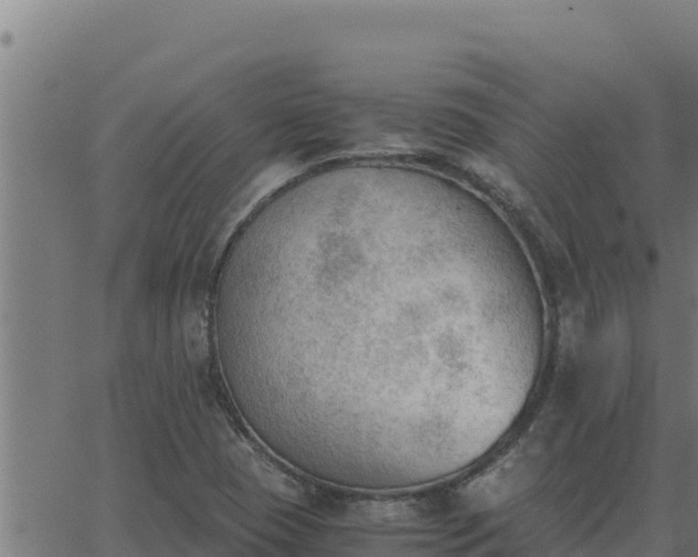 X0000062871409200601201742