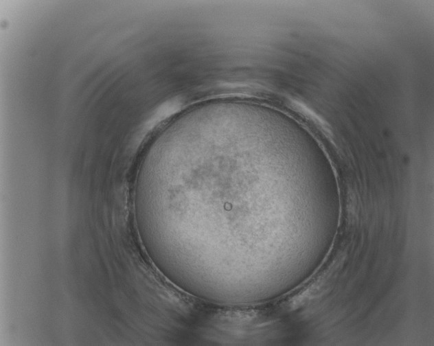 X0000062871411200601201742