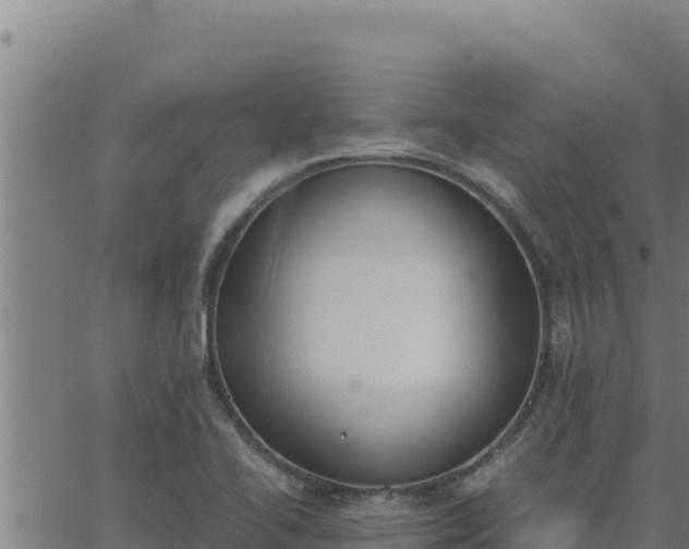 X0000062871414200601201743