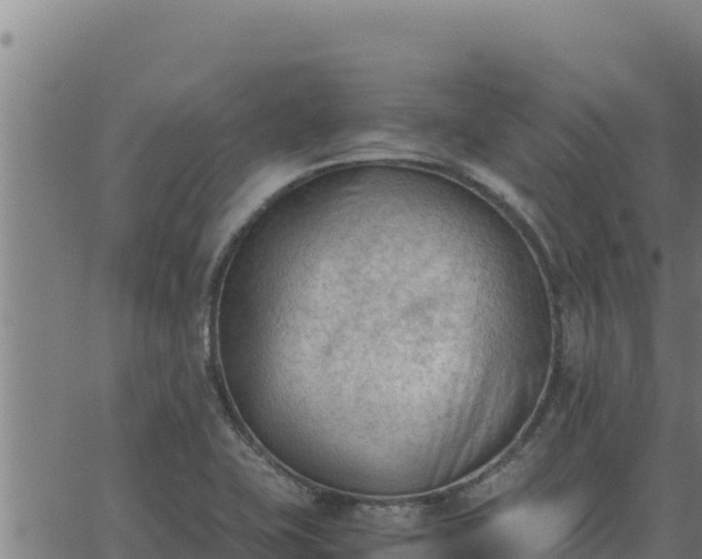 X0000062871415200601201743