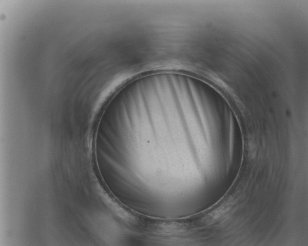 X0000062871416200601201743