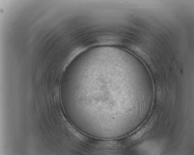 X0000062871417200601201743