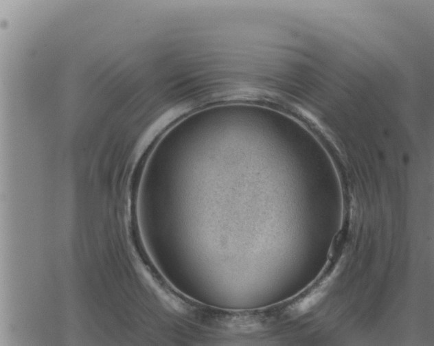 X0000062871418200601201743