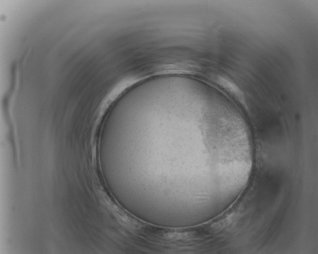 X0000062871419200601201743