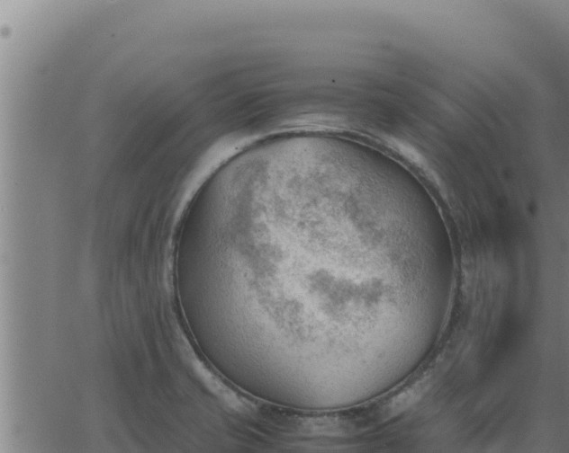 X0000062871421200601201743