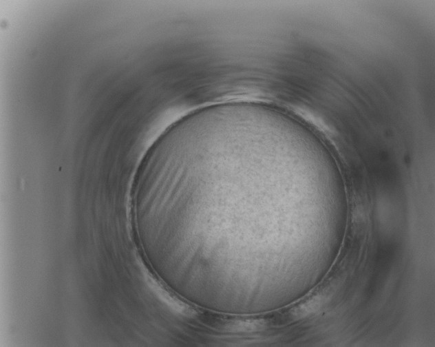 X0000062871423200601201743