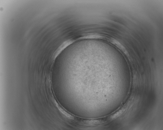 X0000062871425200601201743