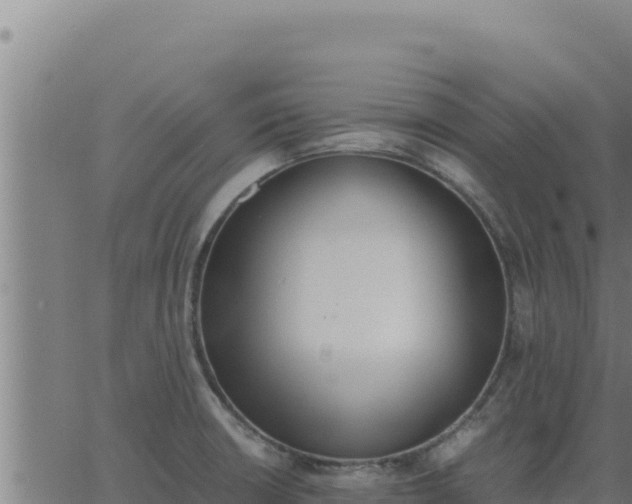 X0000062871426200601201743