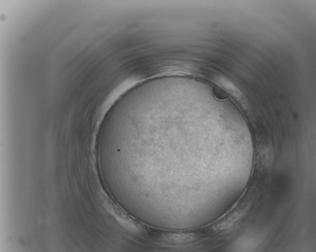 X0000062871427200601201743