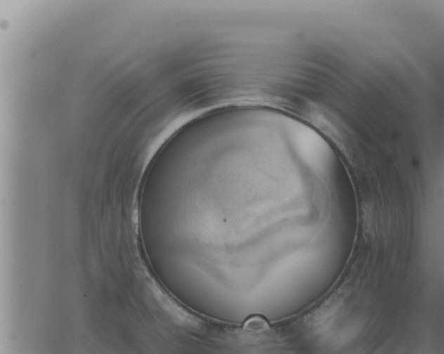 X0000062871428200601201743