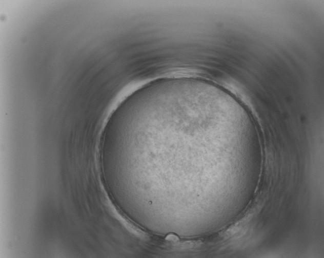 X0000062871429200601201743