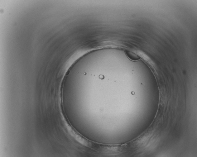 X0000062871431200601201743