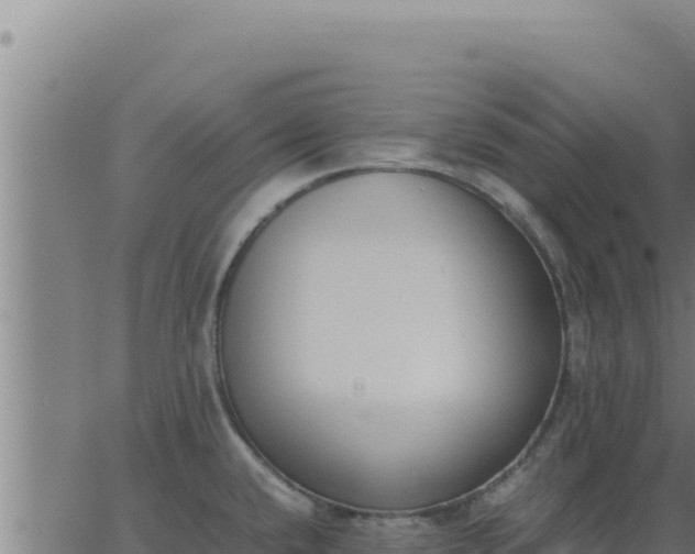 X0000062871432200601201743