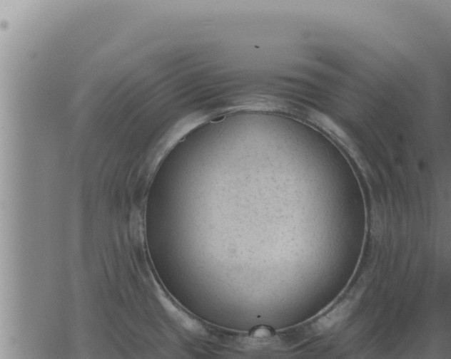 X0000062871433200601201743