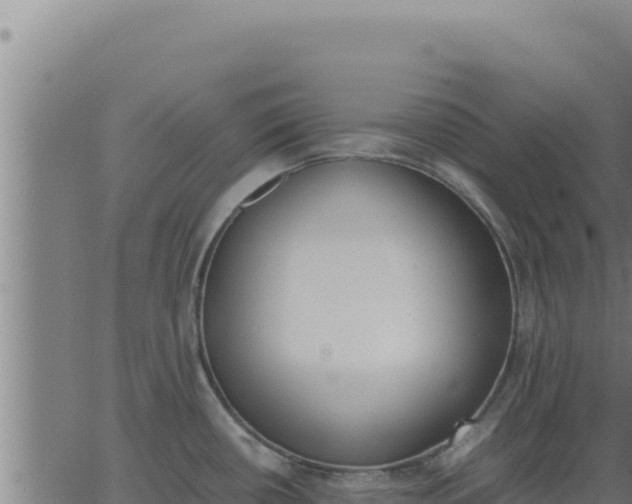 X0000062871434200601201743