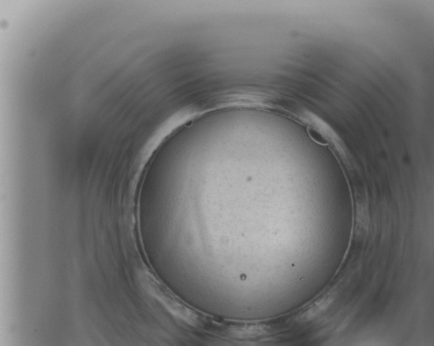 X0000062871435200601201743