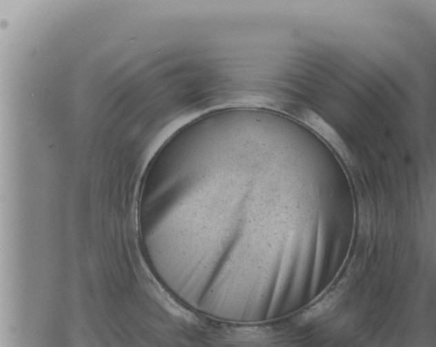 X0000062871436200601201743