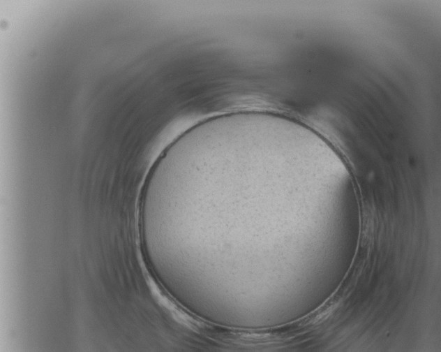 X0000062871439200601201743