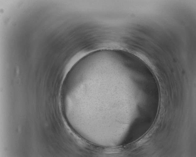 X0000062871440200601201743