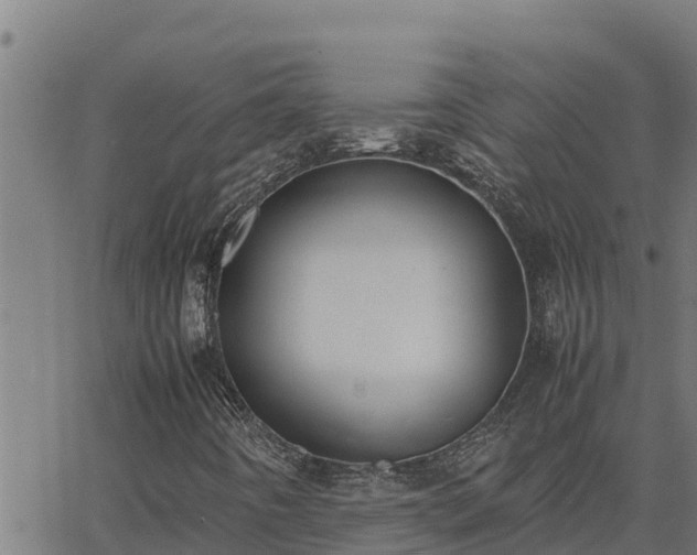 X0000062871442200601201742