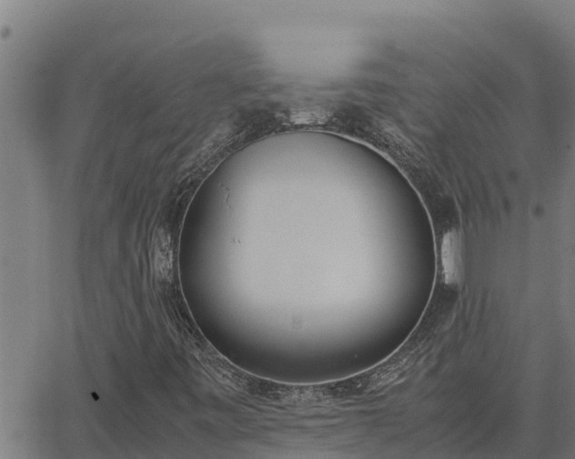 X0000062871443200601201742