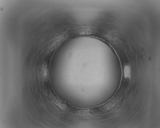 X0000062871444200601201742