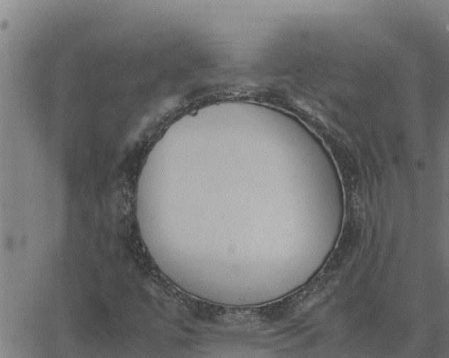 X0000062871447200601201742