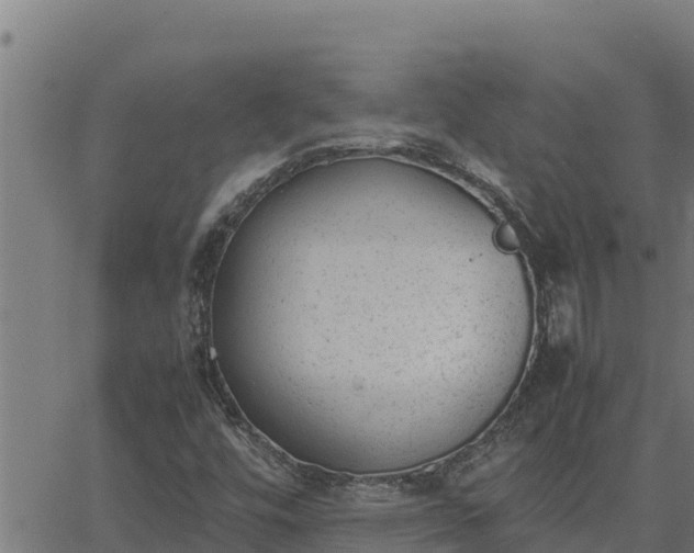 X0000062871448200601201742