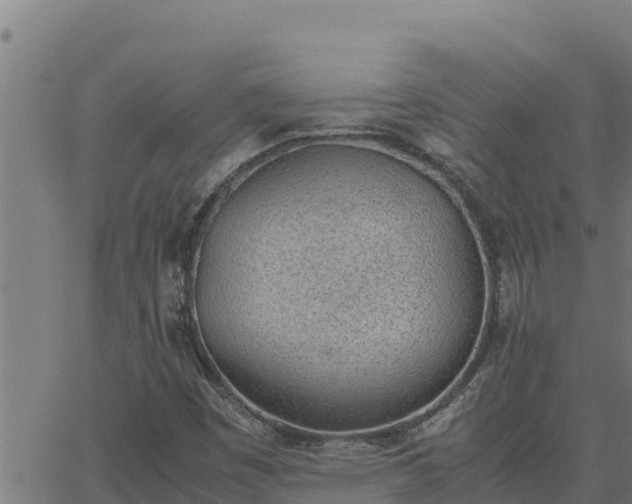 X0000062871449200601201742