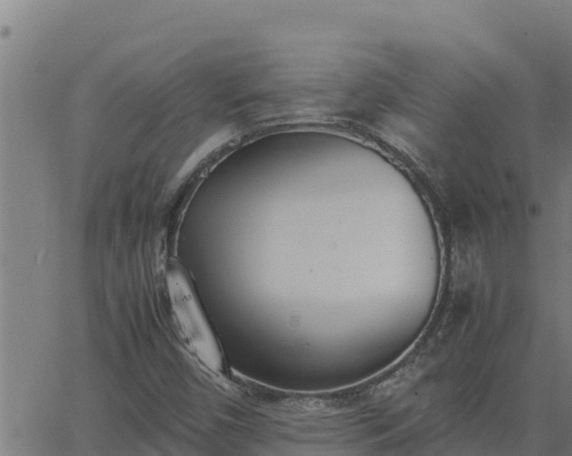 X0000062871450200601201742