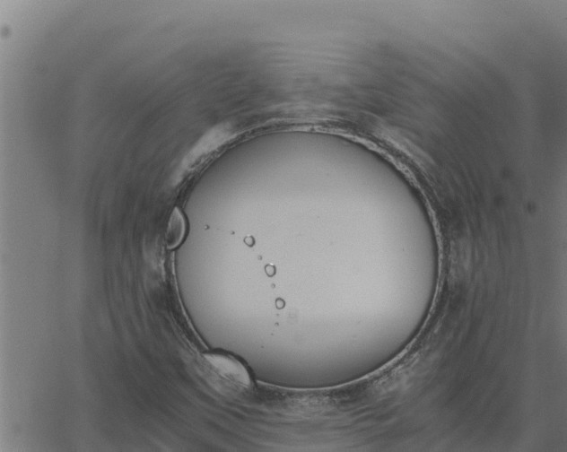 X0000062871451200601201742