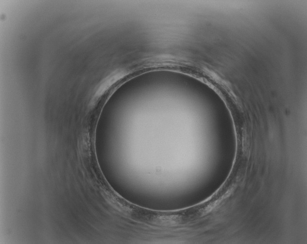 X0000062871453200601201742