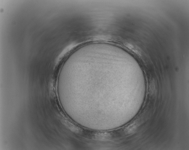 X0000062871454200601201742