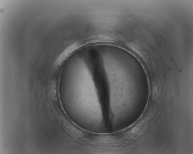 X0000062871455200601201742