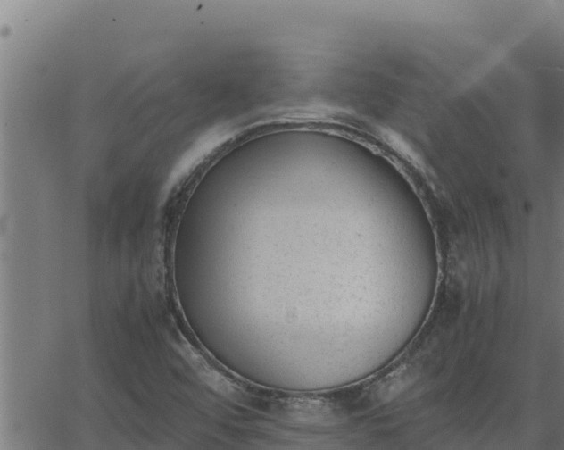 X0000062871456200601201742